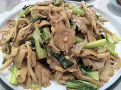 -何适山庄 ·可团建(水长城P2停车场店)