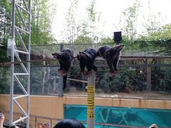 -清迈夜间动物园