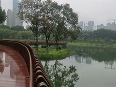 -后襄河公园