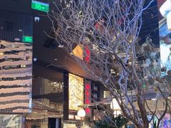 -桂满陇·海市蜃楼·黑金(国金店)