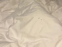 -苏州西交利物浦大学国际会议中心