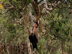 -汉艺唐风茶艺培训(联发华美空间店)