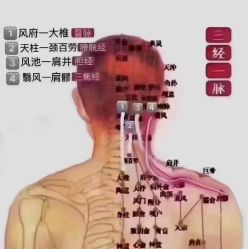 -香薇妮丝·定制减肥·身材管理
