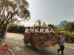 -村上春树