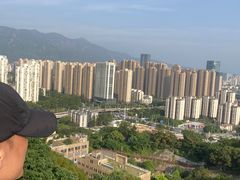 -金鸡山公园