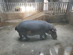 -济南野生动物世界