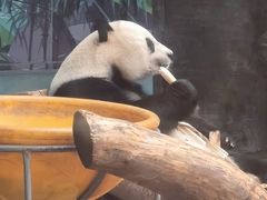 -石家庄市动物园