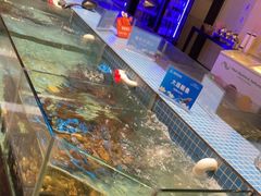 水产区-小天鹅戴斯酒店鲸鲨百汇创作料理