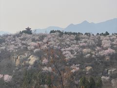 -白水寺森林公园