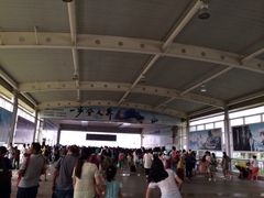 iphone_upload_pic-张家界站