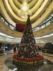 -上海瑞金洲际酒店·宴会厅