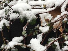 -米家餐厅(长生路店)