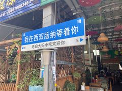 -西双版纳原始森林公园