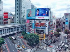 -涩谷区