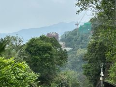 -太平山顶