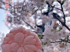 -苏州上方山国家森林公园