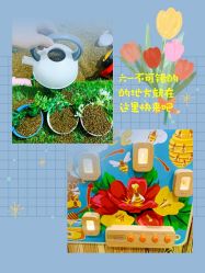 -绿野星空儿童乐园