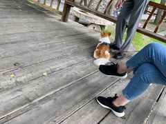 -百花人家(清水镇店)