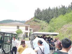 -云南屏边大围山国家公园