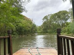 -溱湖国家湿地公园