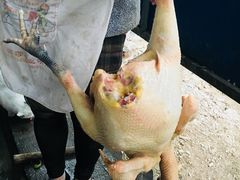 点杀鸡咯咯-尹三姐农家乐