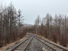 -莫尔道嘎国家森林公园