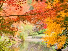 -上海共青森林公园