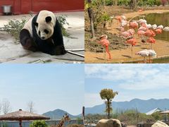 -杭州野生动物世界