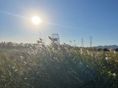 -永定河休闲森林公园