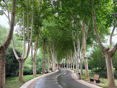 -郑州植物园