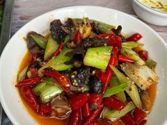 -金水泊山庄·花椒鸡(铁山坪店)