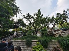 -环城公园