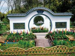 -上海共青森林公园