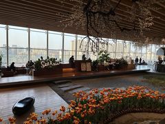 -Seesaw Coffee(朝阳大悦城店)