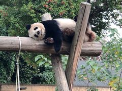-杭州野生动物世界