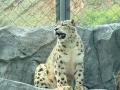 -青藏高原野生动物园