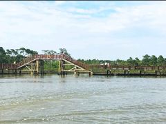 -东寨港红树林旅游区