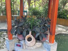 -碧水湾温泉