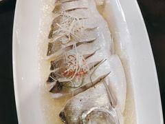 -松鹤楼(山塘街店)