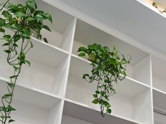 -郑远元专业修脚房(昌里东路店)