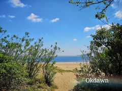 -普陀山风景名胜区-千步大沙