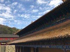 -普陀山风景名胜区-法雨禅寺