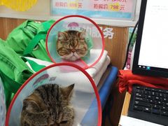 -宠福鑫动物医院·动物疾病诊疗中心(天通苑店)