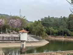 -凤岗南门山森林公园