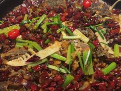 -老板恋上鱼(恒隆广场店)