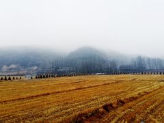-南泥湾风景区