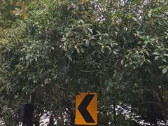 -杭州少年儿童公园