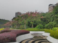 -深圳国际园林花卉博览园