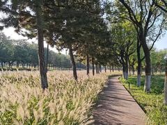 -汉长安城未央宫国家考古遗址公园