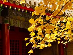 -承恩寺